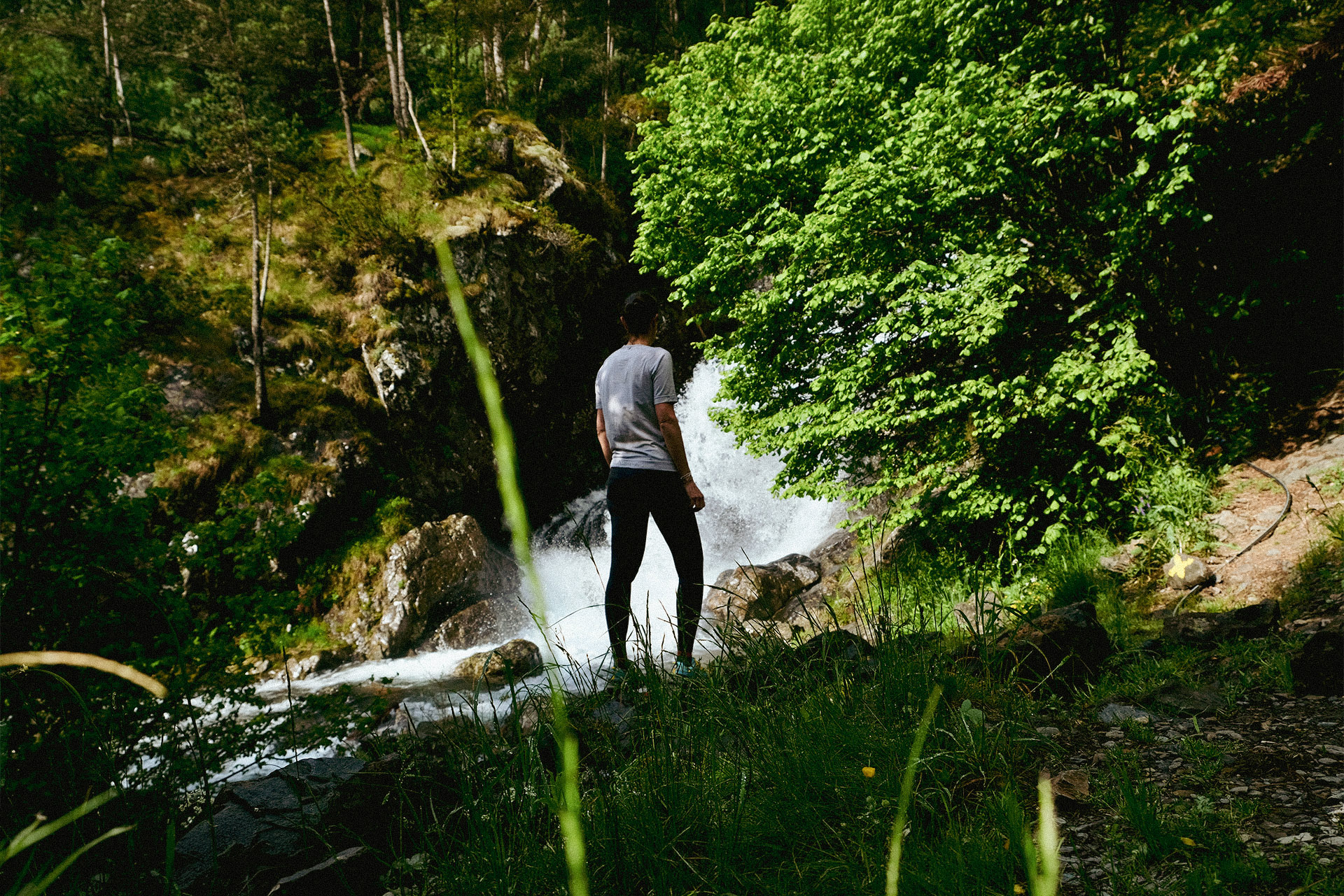 Merino Dry vs. Merino Pure: Which One Is Best for Hiking?