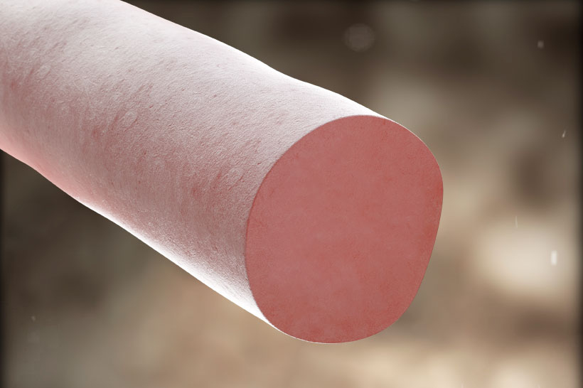 performance_round_render_fibras_820_x_546